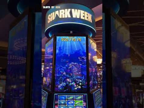 Shark week slot machine  One of the benefits of playing in San Manuel is th • Video Slots - Download & Play Online!Shark Week Slot Machine Online; Shark Slot Machine; RTP 96%